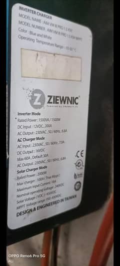 ziewnic