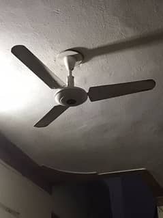 CEILING FAN FOR SALE