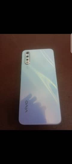 vivo