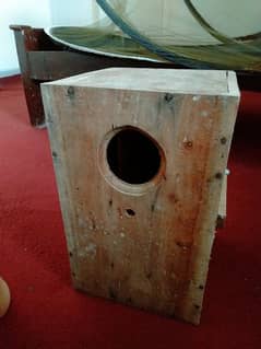 Nesting Box for Ringneck Parrot