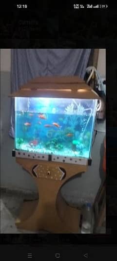 2 Fish aquarium with fish