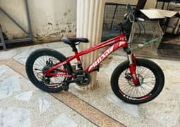 Roxy imported cycle 20 inch