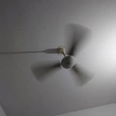 ceiling fan