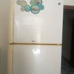 refrigerator