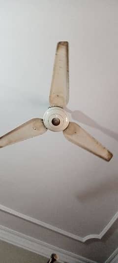 MILLAT CEILING FAN ( USED )