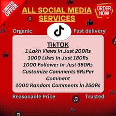 TikTok followers, comments, views, likes available in cheap price