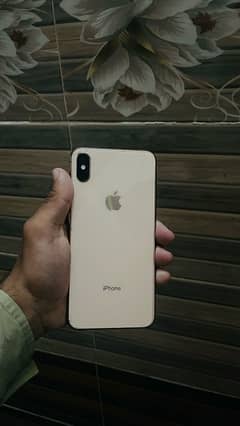 iPhone XS Max dual approved back crack golden colour