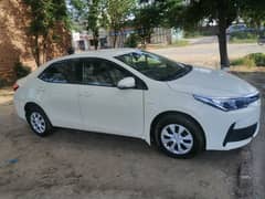 Toyota Corolla XLI 2019