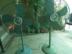 Fans (Pedestal) excellent condition