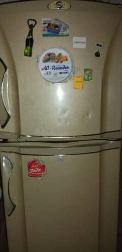 PEL Refrigerator for sale