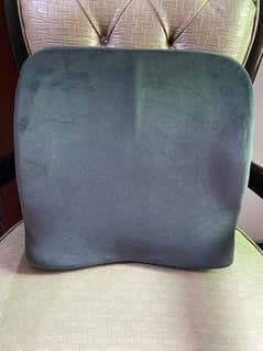 back care cusion (diamond dr good back)