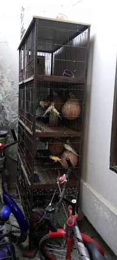 8 portions birds cage