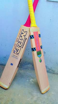 hard ball English willow bats