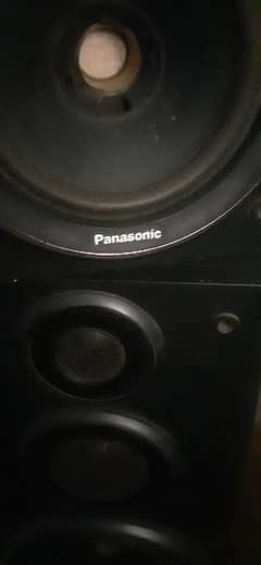 Panasonic