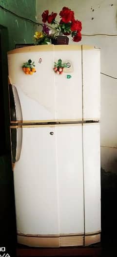 pal ka fridge h