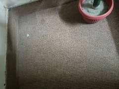 800 SQ feet carpet in good condition for sale