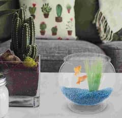 Globe Hydroponic Fish Bowl - Plastic