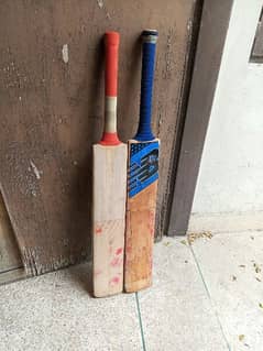 English willow hard ball bats in low price