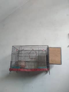 parriot  cage for  urgent sale