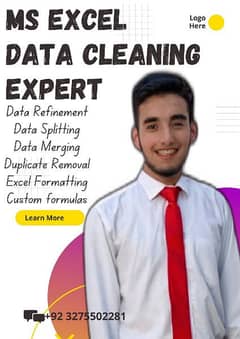 Excel Data Analysis Expert