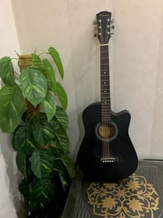 guitar / beginner’s friendly guitar