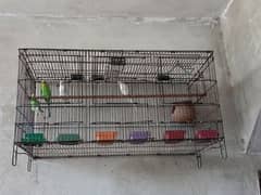 cages for budgies and love birds