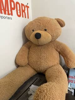 7 feet Premium Soft Teddy Wholesale Rate 0