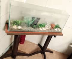 3_  Feet Glass Aquarium with Assosories