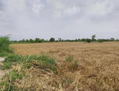 Ideal 22 Acre Agriculture Land For Sale at link Jarranwala to Sataina Road Faisalabad