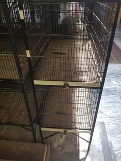 Iron Cage || Love Birds || Breeders Cage || Hen || Parriot || Java