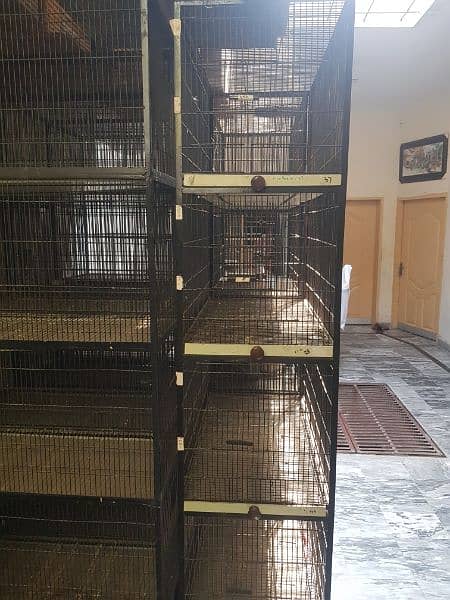 Iron Cage || Love Birds || Breeders Cage || Hen || Parriot || Java 1