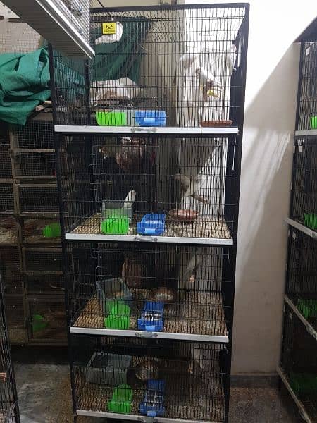 Iron Cage || Love Birds || Breeders Cage || Hen || Parriot || Java 5