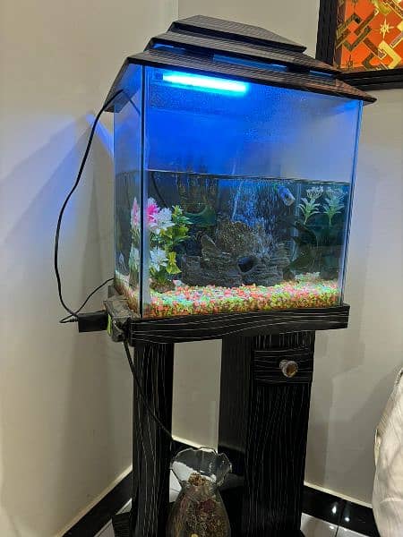 2 Fishes & Aquarium 1