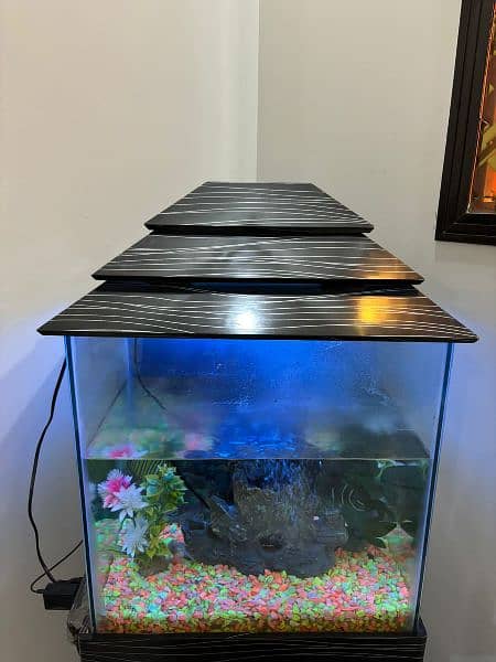 2 Fishes & Aquarium 2