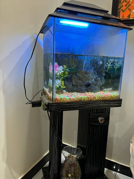 2 Fishes & Aquarium 3