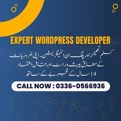 Expert WordPress Developer - Software House Islamabad