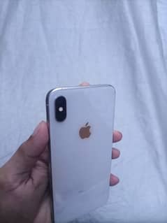 xs max non pta