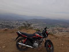 Honda CB 125F for sale