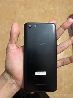 vivo