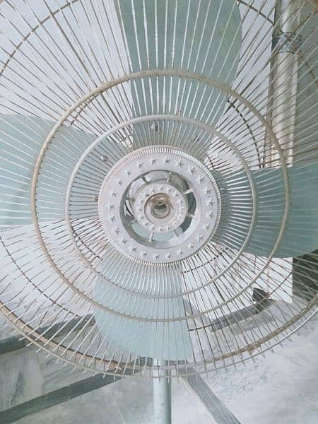 Pedestal Fan 1