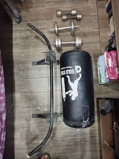 DUMBBELLS, PUNCH BAG, PULL-UP BAR