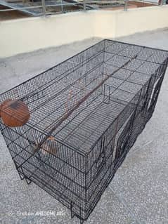 birds cage for sale