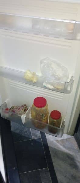 Pel fridge and freezer 4