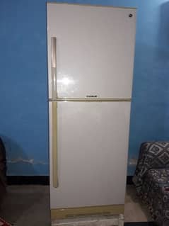 pel full size fridge