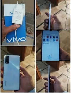 VIVO