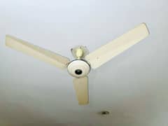 Ceiling Pak Fan White For Sale in Nowshera