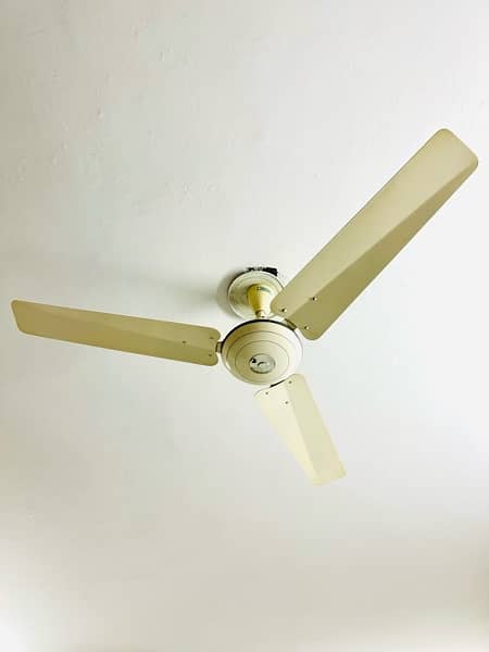 Ceiling Pak Fan White For Sale in Nowshera 1