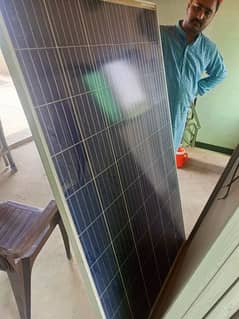 TBL SOLAR 260Watt