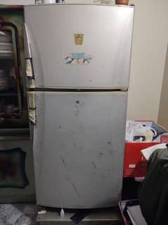 Dawlance Fridge Signature Series Full Size