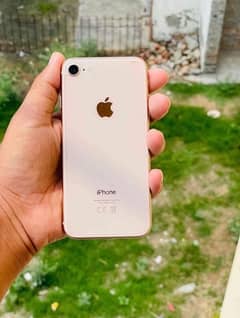 iphone 8 PTA aproved